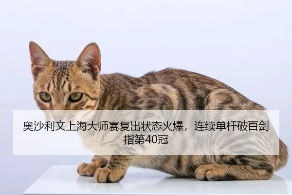 奥沙利文上海大师赛复出状态火爆，连续单杆破百剑指第40冠