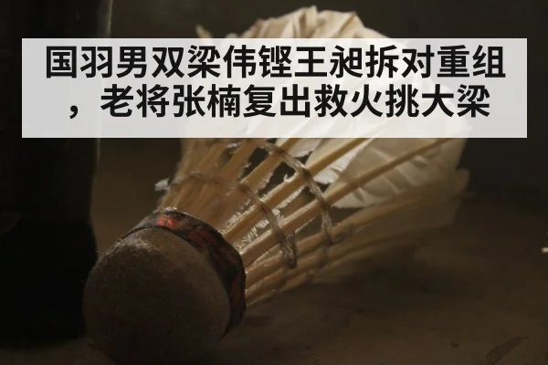 国羽男双梁伟铿王昶拆对重组，老将张楠复出救火挑大梁