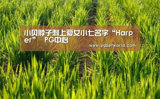 PG中心